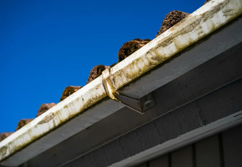 A weathered gutter seen against a blue sky, with moss and plant growth rooted along the inside of the trough.